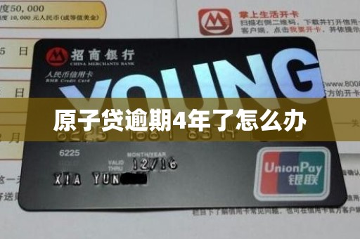 原子贷逾期4年了怎么办