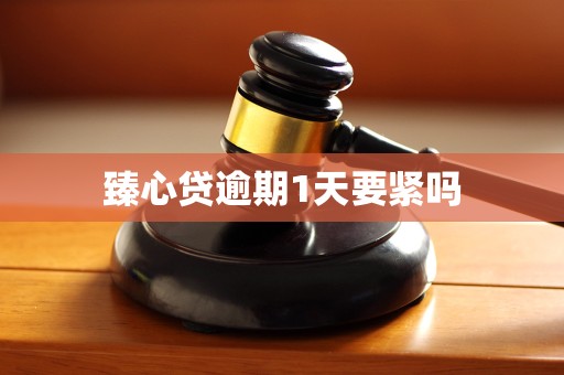 臻心贷逾期1天要紧吗
