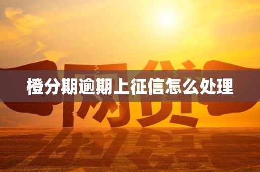 橙分期逾期上征信怎么处理
