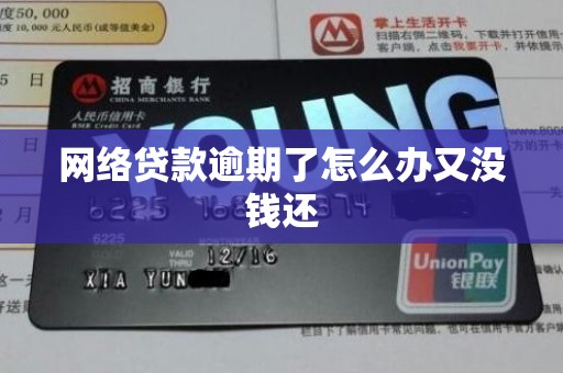 网络贷款逾期了怎么办又没钱还