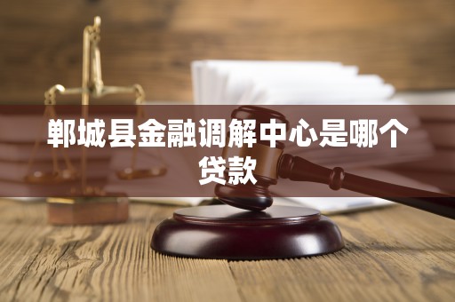 郸城县金融调解中心是哪个贷款