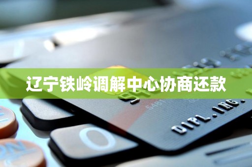 辽宁铁岭调解中心协商还款