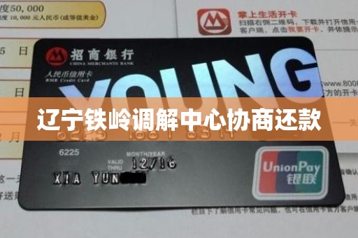 辽宁铁岭调解中心协商还款