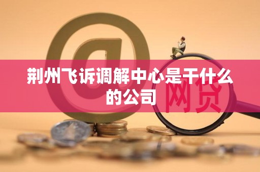 荆州飞诉调解中心是干什么的公司