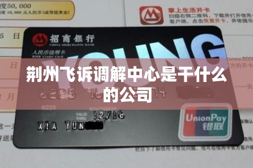 荆州飞诉调解中心是干什么的公司