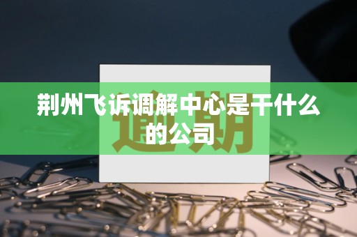 荆州飞诉调解中心是干什么的公司