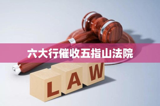 六大行催收五指山法院