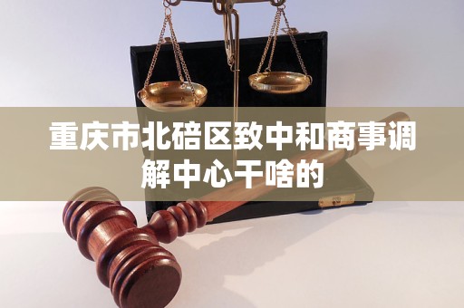 重庆市北碚区致中和商事调解中心干啥的