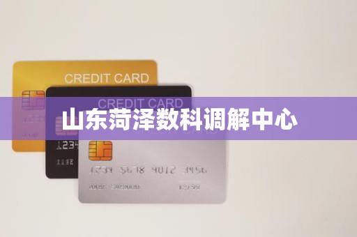 山东菏泽数科调解中心