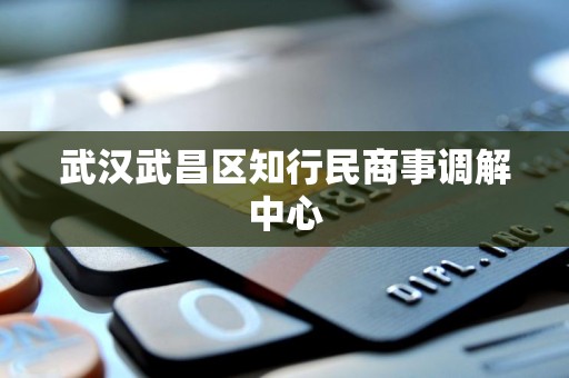 武汉武昌区知行民商事调解中心