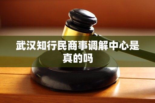 武汉知行民商事调解中心是真的吗