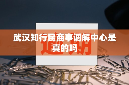 武汉知行民商事调解中心是真的吗
