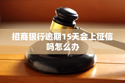 招商银行逾期15天会上征信吗怎么办