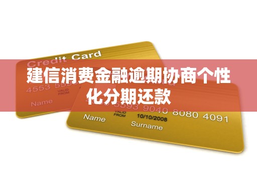 建信消费金融逾期协商个性化分期还款