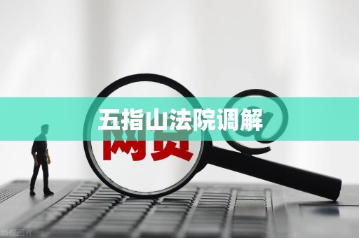 五指山法院调解