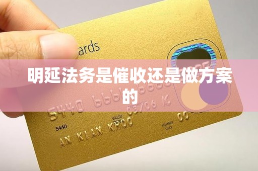 明延法务是催收还是做方案的