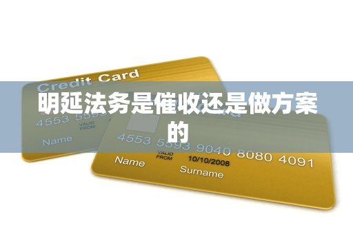 明延法务是催收还是做方案的