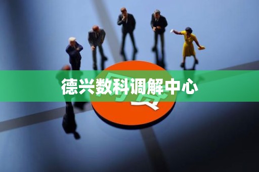 德兴数科调解中心