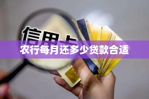 农行每月还多少贷款合适