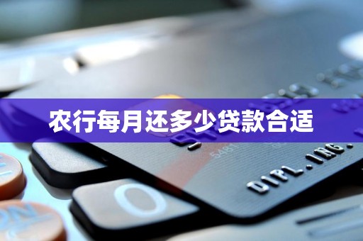 农行每月还多少贷款合适
