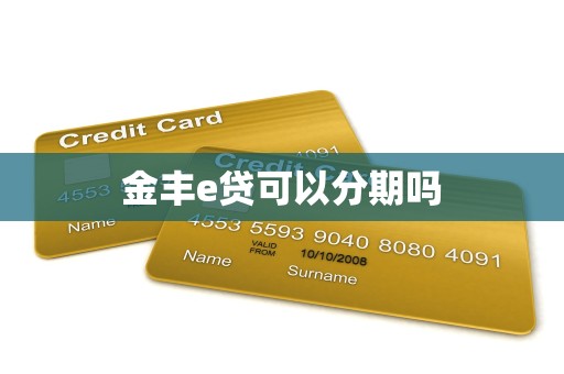 金丰e贷可以分期吗