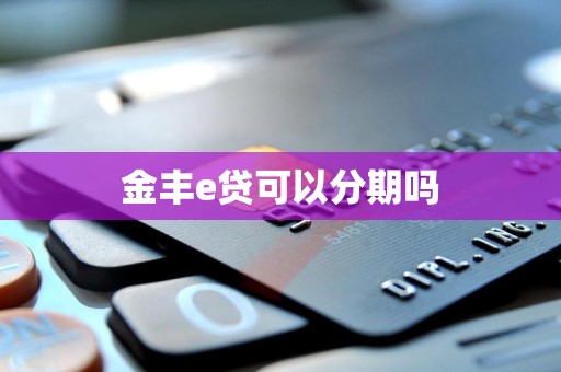 金丰e贷可以分期吗