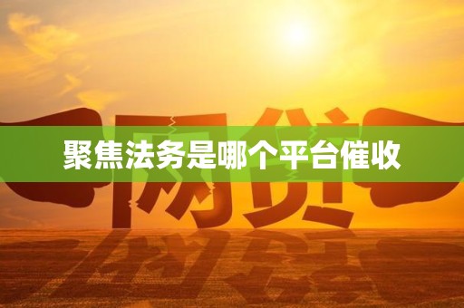 聚焦法务是哪个平台催收