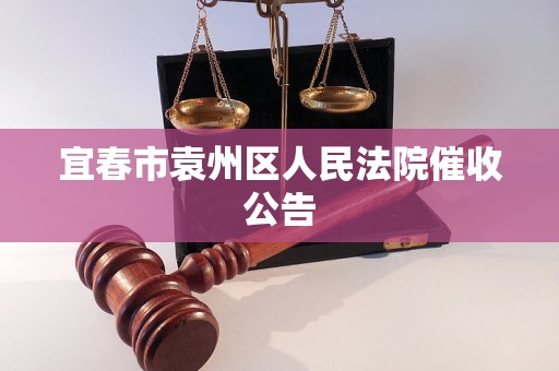 宜春市袁州区人民法院催收公告