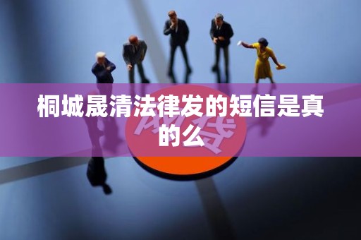 桐城晟清法律发的短信是真的么