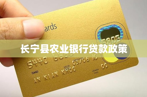 长宁县农业银行贷款政策