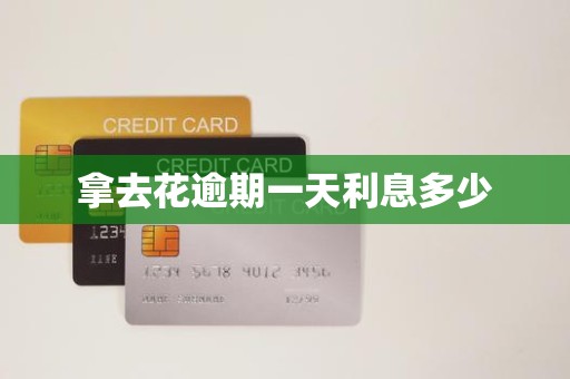 拿去花逾期一天利息多少