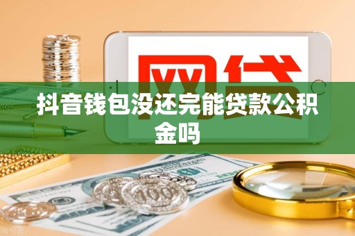抖音钱包没还完能贷款公积金吗
