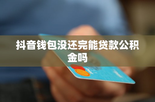 抖音钱包没还完能贷款公积金吗