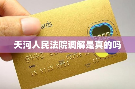 天河人民法院调解是真的吗