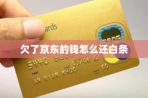 欠了京东的钱怎么还白条