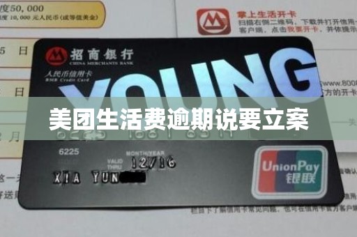 美团生活费逾期说要立案