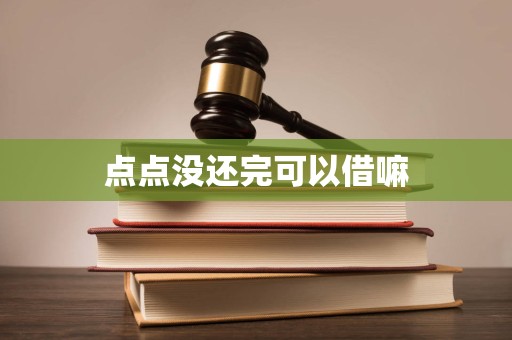 点点没还完可以借嘛