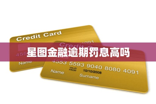 星图金融逾期罚息高吗