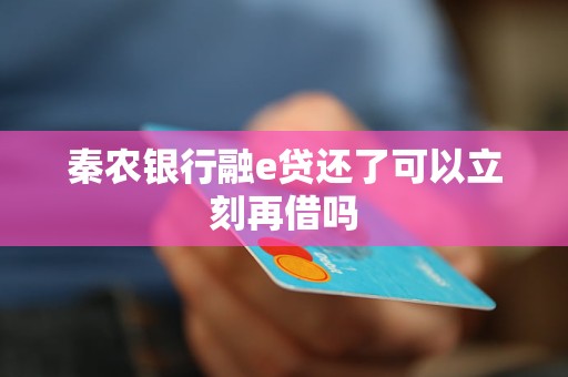 秦农银行融e贷还了可以立刻再借吗