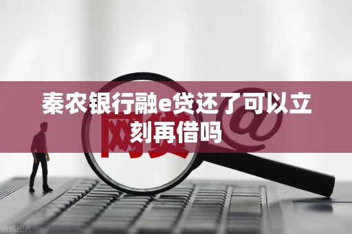 秦农银行融e贷还了可以立刻再借吗