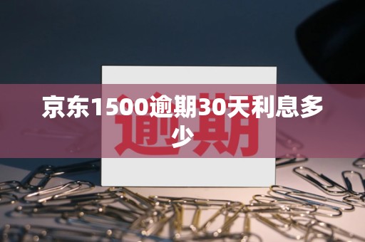 京东1500逾期30天利息多少
