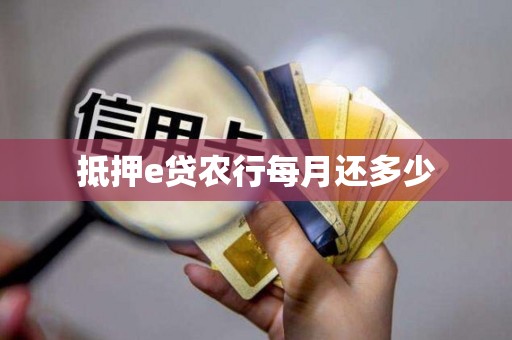 抵押e贷农行每月还多少
