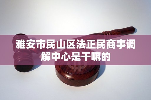 雅安市民山区法正民商事调解中心是干嘛的