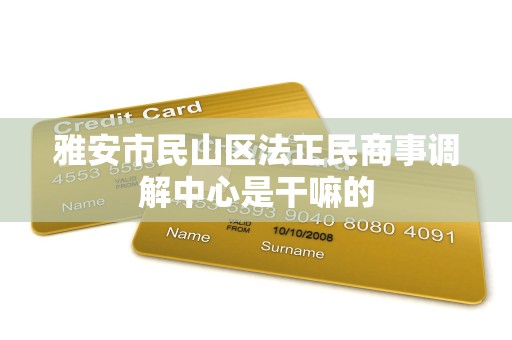 雅安市民山区法正民商事调解中心是干嘛的