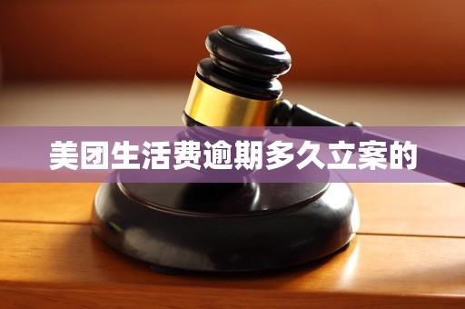 美团生活费逾期多久立案的