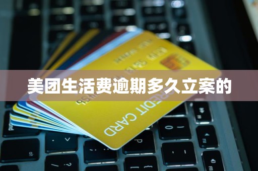 美团生活费逾期多久立案的