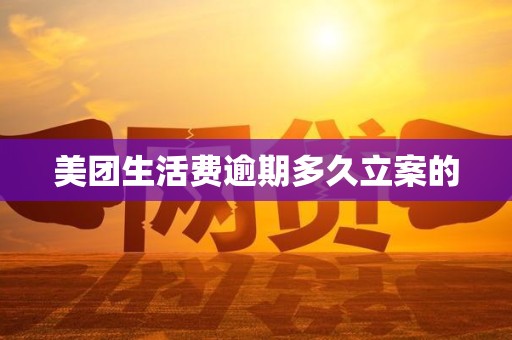 美团生活费逾期多久立案的