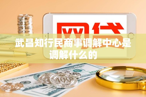 武昌知行民商事调解中心是调解什么的