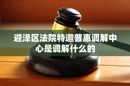 迎泽区法院特邀普惠调解中心是调解什么的