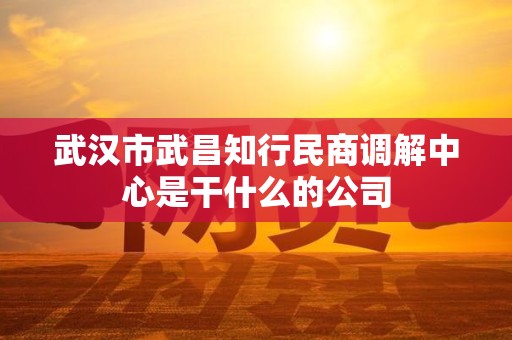 武汉市武昌知行民商调解中心是干什么的公司